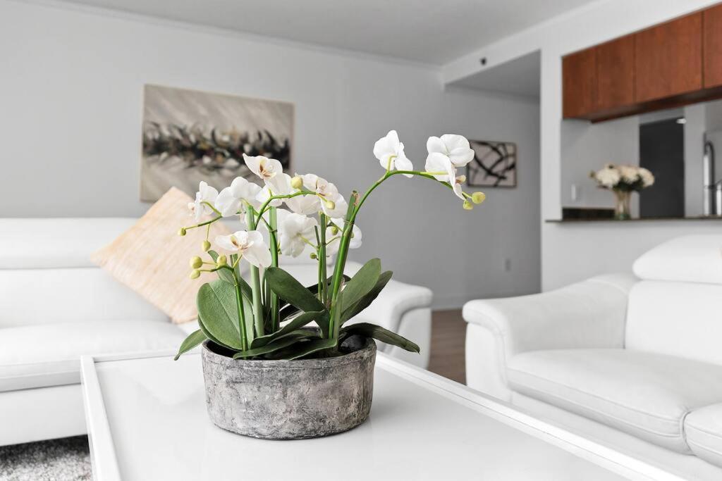 דירות מיאמי Modern 2/2 With Beautiful Ocean And Brickell Views מראה חיצוני תמונה